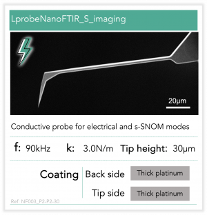 LprobeNanoFTIR_S_imaging_P2-P2-30