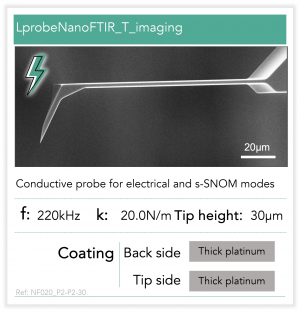 LprobeNanoFTIR_T_imaging_P2-P2-30