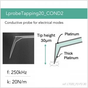 LprobeTapping20_COND2_P2-P2-30