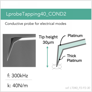 LprobeTapping40_COND2_P2-P2-30