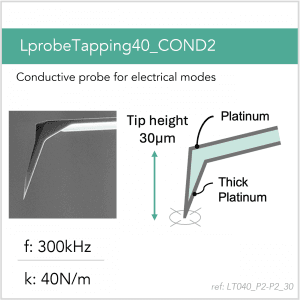 LprobeTapping40_COND2_P2-P2_30
