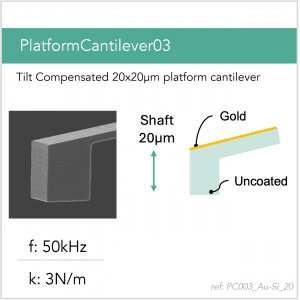 PlatformCantilever03_Au-Si_20