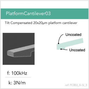 PlatformCantilever03_Si-Si_5