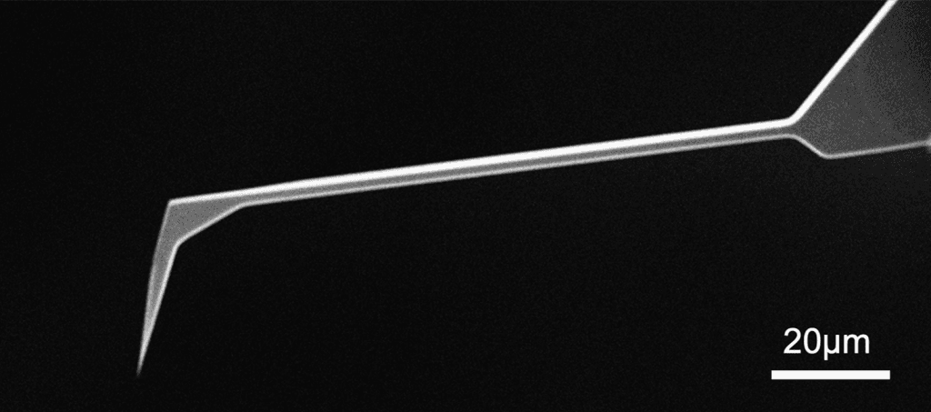 SEM full-view image of Vmicro LS003 Pt-Pt 30 AFM probe showing complete probe geometry
