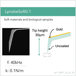 3D schematic of Vmicro LS0P1 Au-Si 30 AFM probe for biological and soft-sample AFM imaging