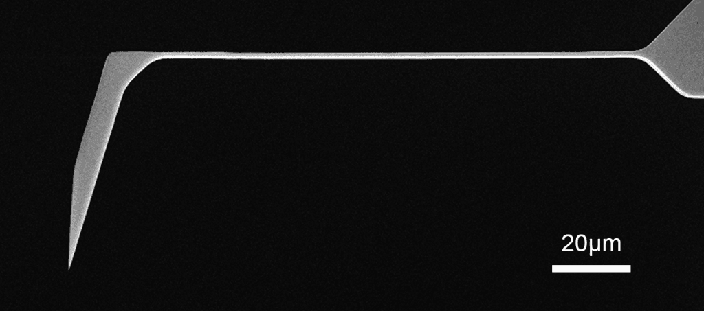 SEM full-view image of Vmicro LS0P1 Au-Si 30 AFM probe showing complete probe geometry