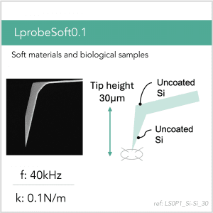 3D schematic of Vmicro LS0P1 Si-Si 30 AFM probe for biological and soft-sample AFM imaging