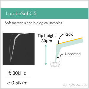 3D schematic of Vmicro LS0P5 Au-Si 30 AFM probe for biological and soft-sample AFM imaging