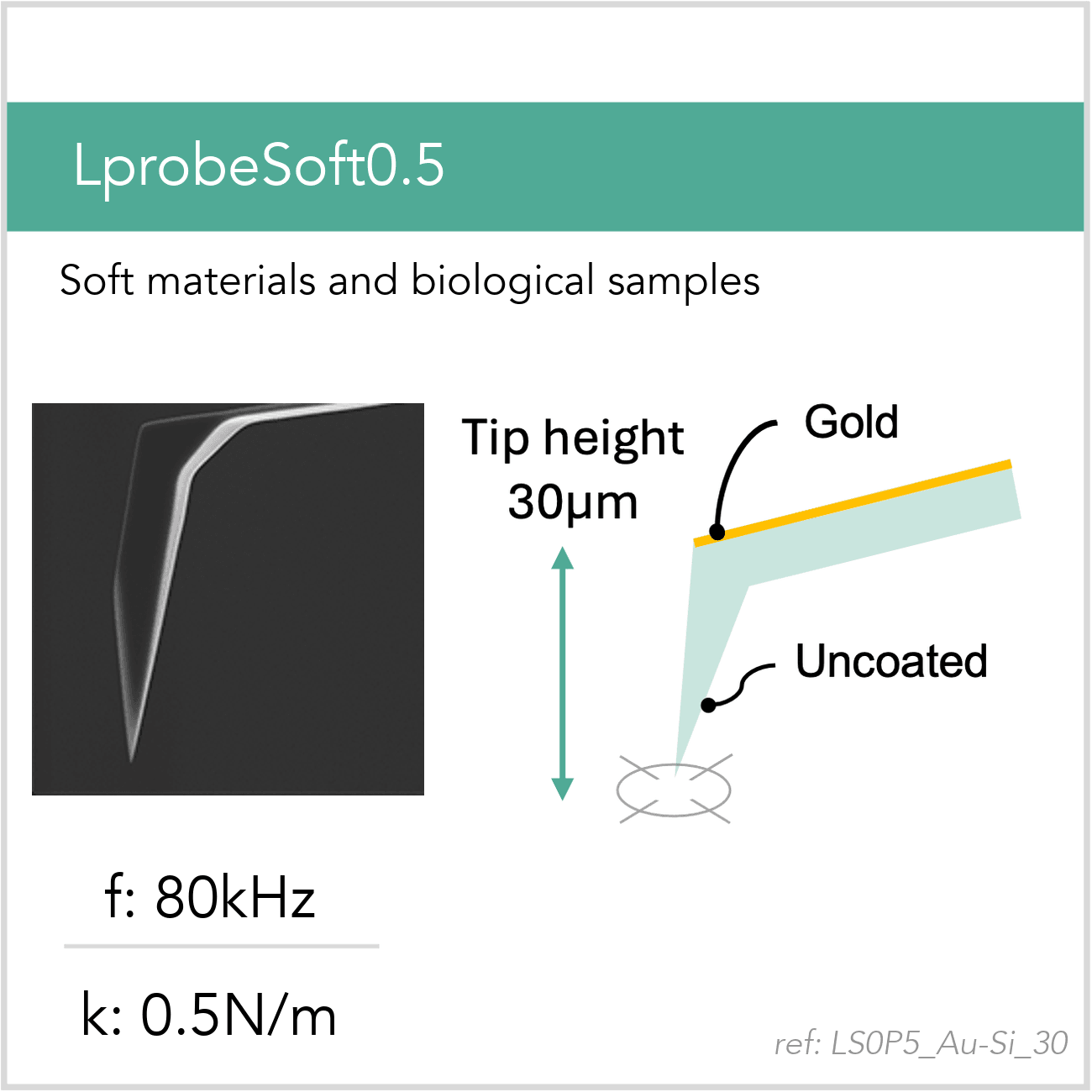 3D schematic of Vmicro LS0P5 Au-Si 30 AFM probe for biological and soft-sample AFM imaging