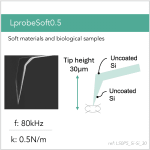 3D schematic of Vmicro LS0P5 Si-Si 30 AFM probe for biological and soft-sample AFM imaging