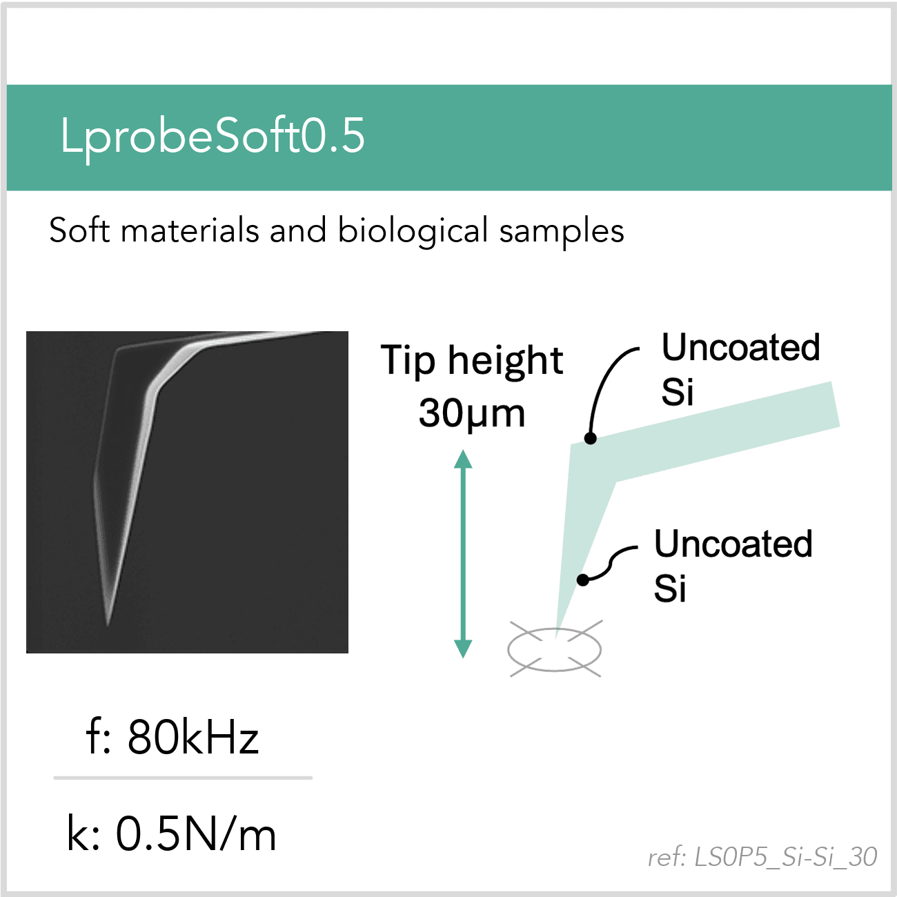 3D schematic of Vmicro LS0P5 Si-Si 30 AFM probe for biological and soft-sample AFM imaging