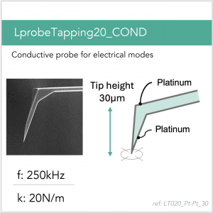 3D schematic of Vmicro LT020 Pt-Pt 30 AFM probe for conductive and electrical AFM modes