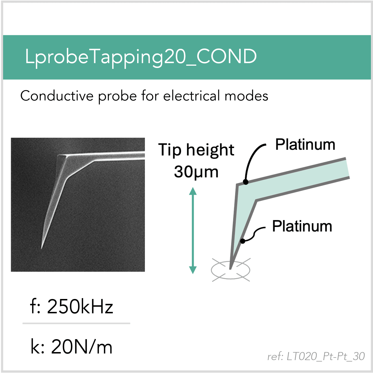 3D schematic of Vmicro LT020 Pt-Pt 30 AFM probe for conductive and electrical AFM modes