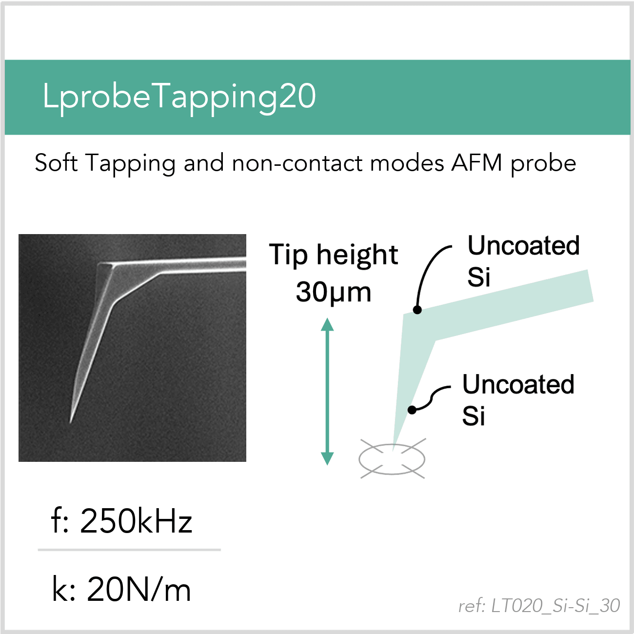 3D schematic of Vmicro LT020 Si-Si 30 AFM probe for advanced AFM imaging