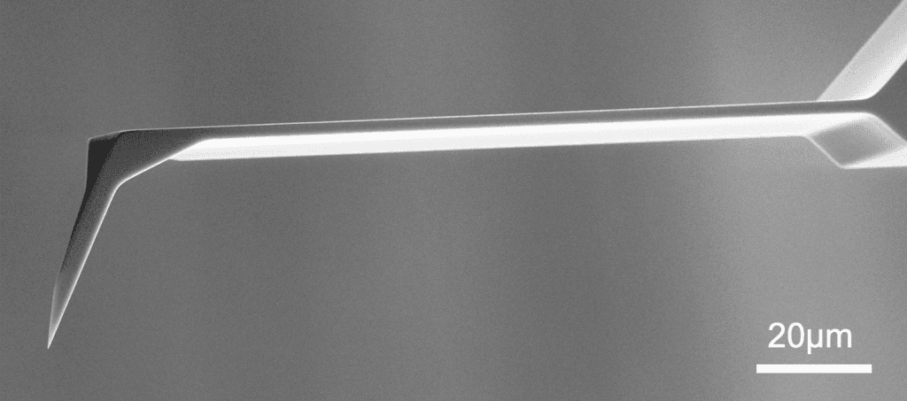 SEM full-view image of Vmicro LT040 Si-Si 30 AFM probe showing complete probe geometry