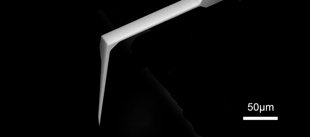 SEM full-view image of Vmicro NF020 A2-A2 100 AFM probe showing complete probe geometry