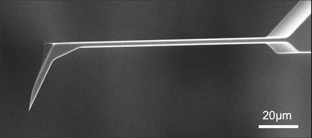 SEM full-view image of Vmicro NF020 A2-A2 30 AFM probe showing complete probe geometry