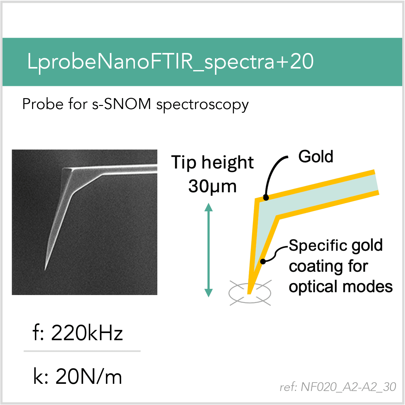 3D schematic of Vmicro NF020 A2-A2 30 AFM probe for s-SNOM near-field imaging and spectroscopy