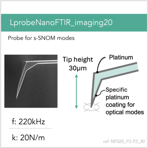 3D schematic of Vmicro NF020 P2-P2 30 AFM probe for s-SNOM near-field imaging and spectroscopy