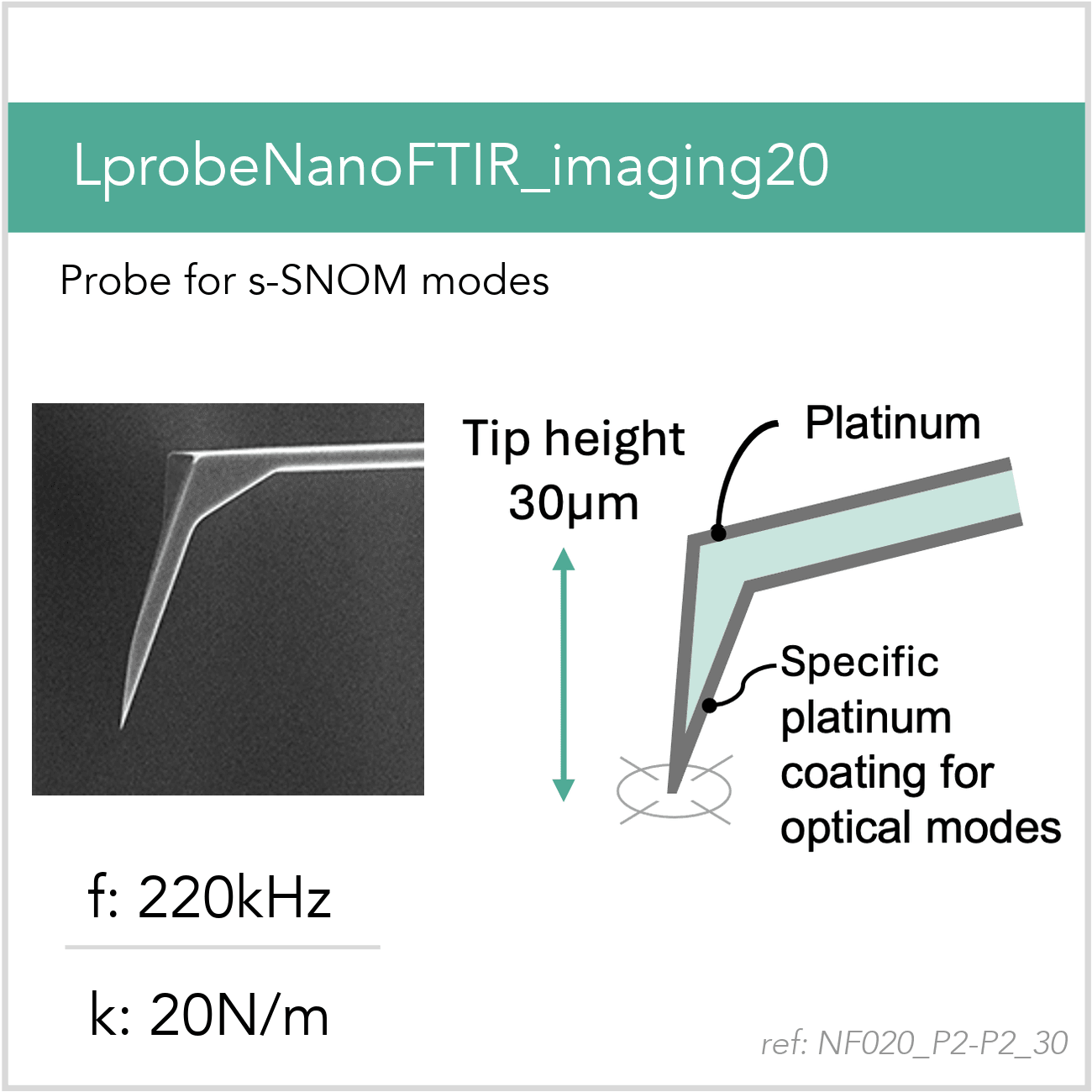 3D schematic of Vmicro NF020 P2-P2 30 AFM probe for s-SNOM near-field imaging and spectroscopy