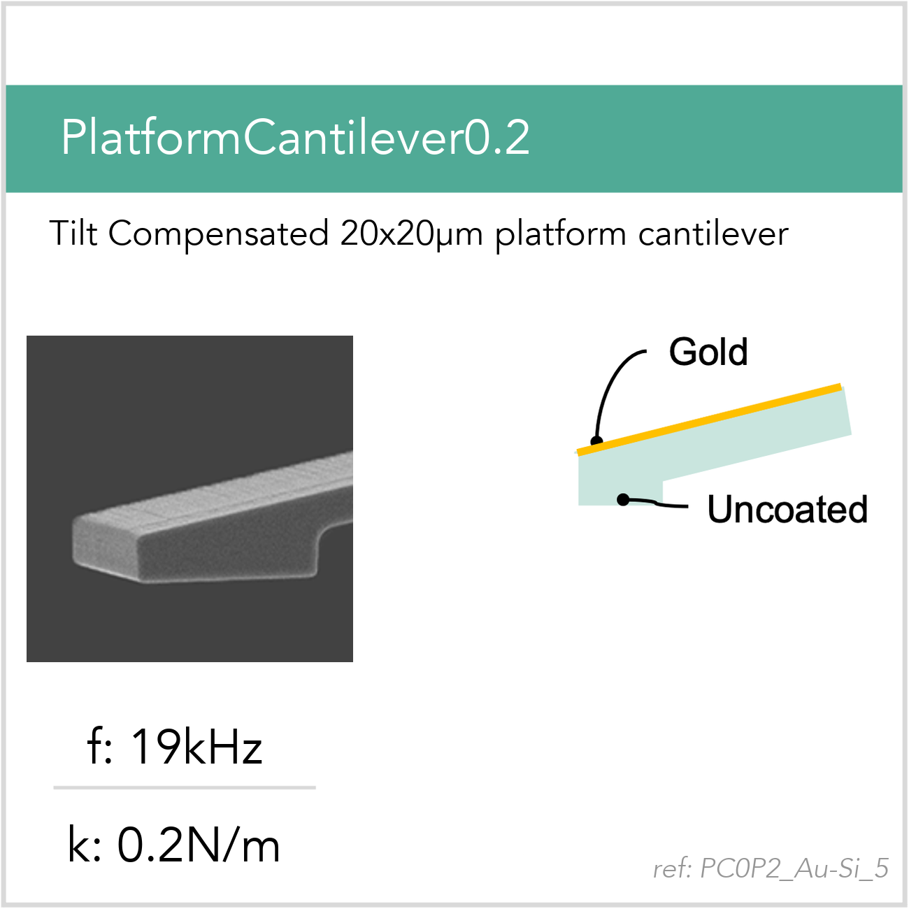 3D schematic of Vmicro PC0P2 Au-Si 5 AFM probe for platform cantilever AFM measurements