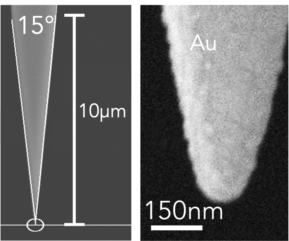 TERS AFM tip image with two panels: left 30 µm tip profile, right apex zoom (75 nm).